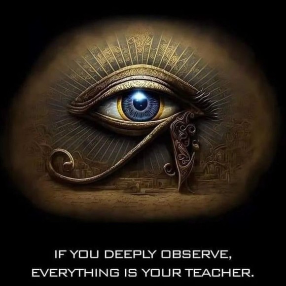 Meet your Posher, Jason - Picture 1 of 1